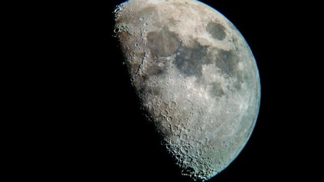 Ayda böyümək qabiliyyətinə malik məhsul tapıldı