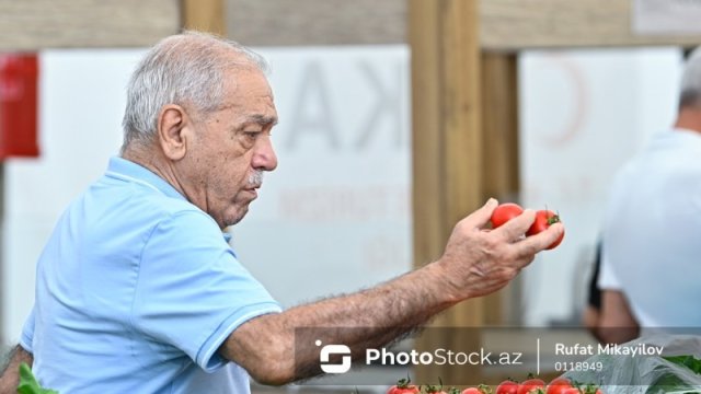 Pomidor və xiyar bahalaşır - Səbəb nədir?