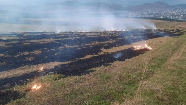 Şamaxıda yanğın törədən şəxs məsuliyyətə cəlb olundu