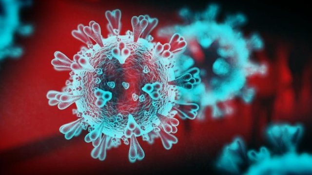 Son zamanlarda ölkəmizdə koronavirusa yoluxma qeydə alınıb?