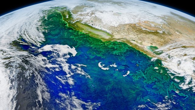 Alimlər: Yer günəş işığını getdikcə daha az əks etdirir