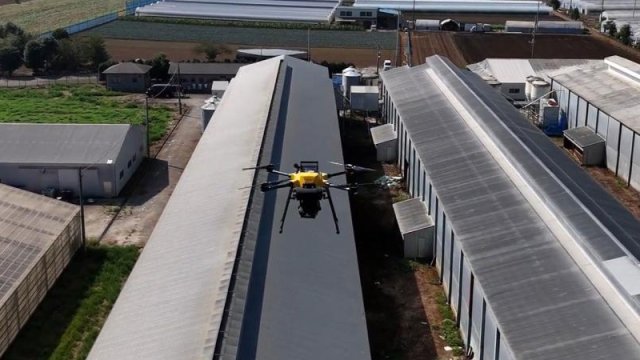 Yapon fermerlər toyuqları quşlardan qorumaq üçün lazer dronlarından istifadə edəcək - VİDEO