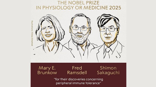 
Tibb üzrə Nobel mükafatı laureatları açıqlandı