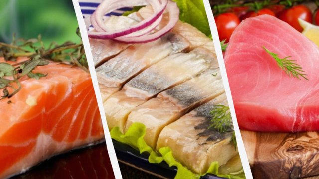 Orqanizmdə D vitamini səviyyəsini artıran qidalar? - Ən faydalı 6 balıq növü