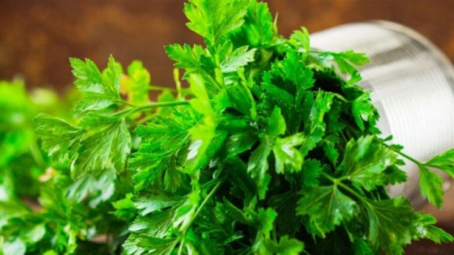 Vitaminlərlə zəngin cəfəri