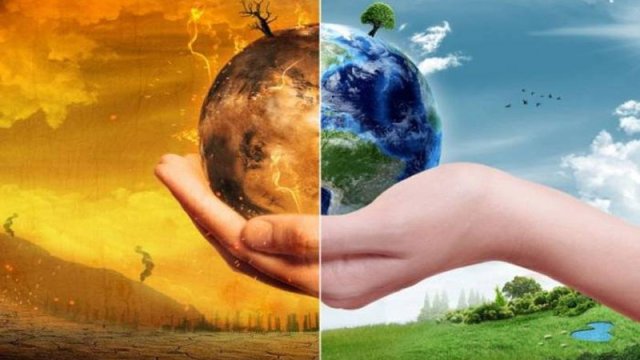 Ekologiyanın müasir problemləri: İnsan ölümlərini artırır?
