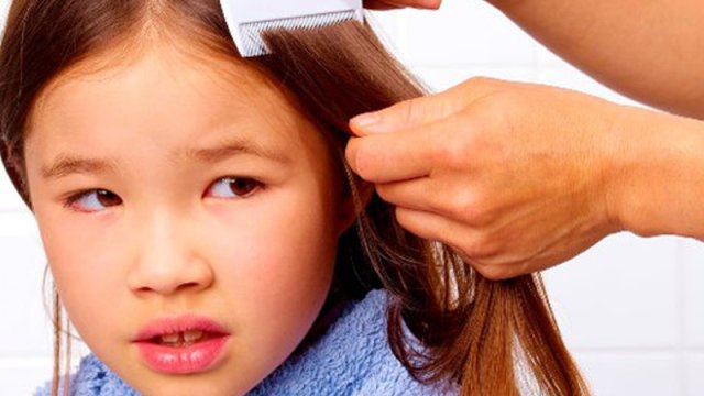 Məktəb yaşlı uşaqlara bit necə keçə bilər?