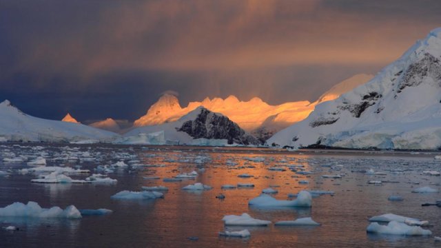 Antarktida sularının altında sirli işıqlanma