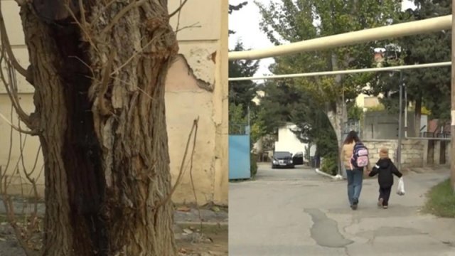 6-cı mikrorayon sakinlərini bezdirən problem - VİDEO