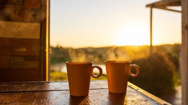 Ürək sağlamlığı üçün hər gün nə içmək lazımdır?