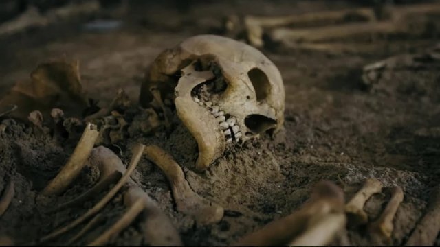 Arxeoloqlar bir skeletin cinsiyyətini necə müəyyənləşdirə bilir?