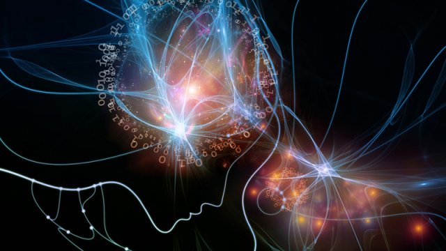 Alim: Şüur ​​zaman və məkandan əvvəl yaranıb