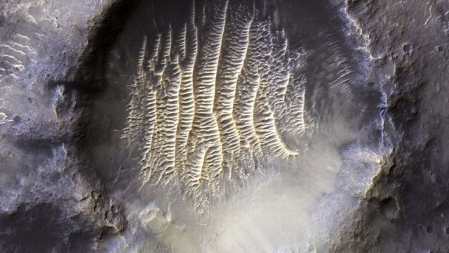 Alimlərin Yerdəki kəşfi Marsda həyatın mövcud ola biləcəyi iddiasını gücləndirir