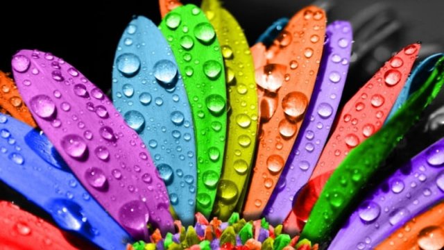 Rənglərin nə məna verdiyini bilirdiz?