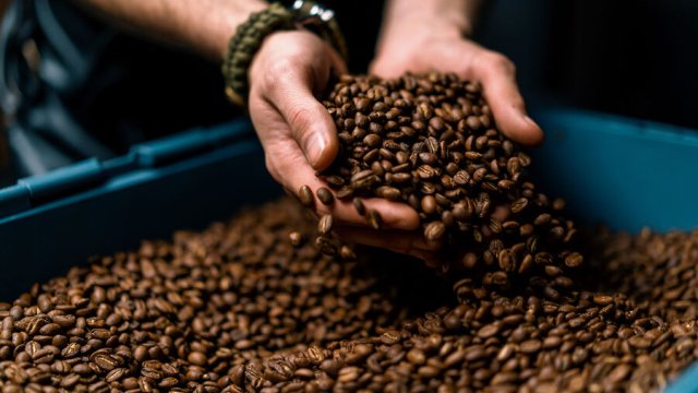 Qəhvənin qaraciyər və böyrəklər üçün gözlənilməz faydaları aşkarlandı