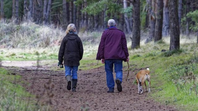 İnsanın yerişi onun sağlamlığından xəbər verə bilər