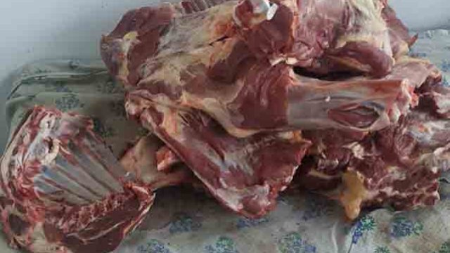 1 tondan çox at ətini keyfiyyətli mal əti kimi satışa çıxardılar - VİDEO