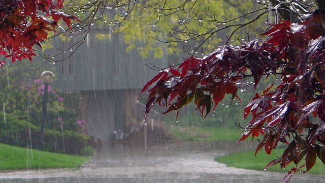 Sabah da yağış yağacaq