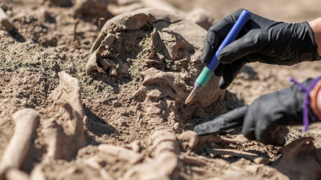 ABŞ-da güclü vulkan püskürməsindən sağ çıxan qədim itlərin izləri tapıldı