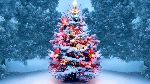 Yeni il yolkasına hansı oyuncaqlar taxılmamalıdır?