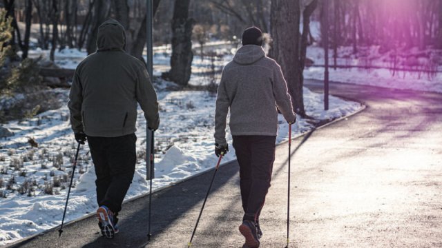 Tədqiqat: Ürək sağlamlığı üçün uzun gəzinti daha faydalıdır