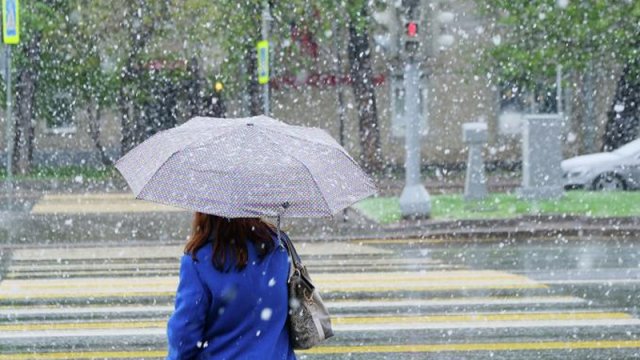 Sabahın hava proqnozu