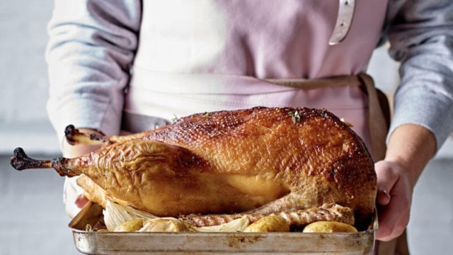 Qaz ətini yeməyənlər faydasından xəbərsizdir