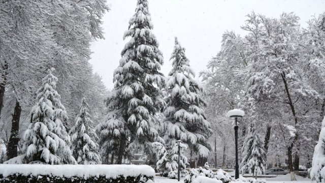 Xınalıq, Qrız, Qusar, Şahdağda qar yağır - FAKTİKİ HAVA