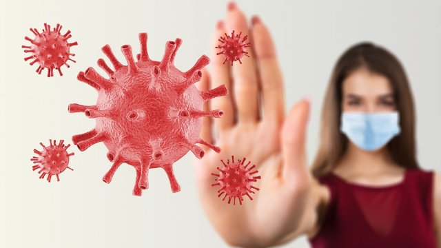 Azərbaycanda Nipah virusuna yoluxma halları var? - RƏSMİ