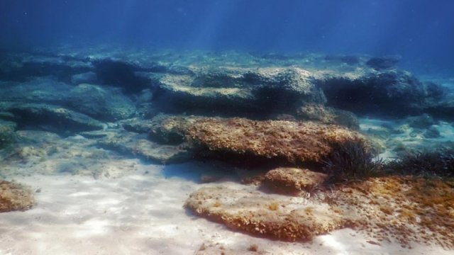 Alimlər 10 il okeanın dibini izlədi: Gördükləri onları son dərəcə narahat etdi
