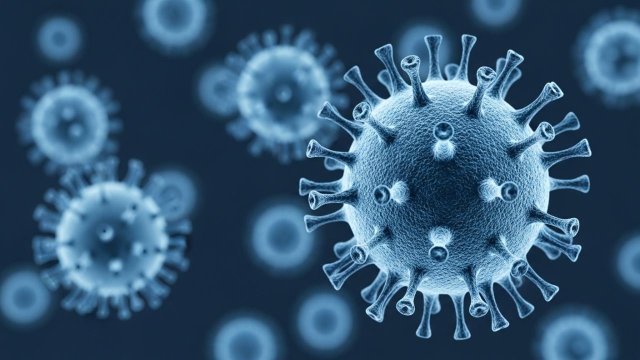 Nipah virusu epidemiya və ya pandemiyaya səbəb olacaq?