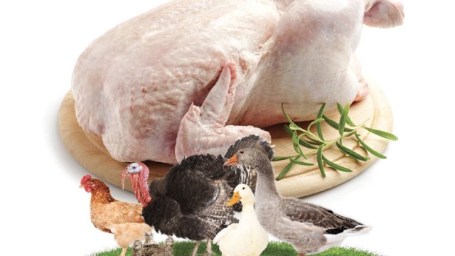 Bazarda bolluq, süfrədə darlıq