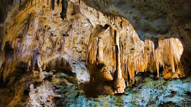 Zülmət qaranlıqda 49 milyon illik möcüzə