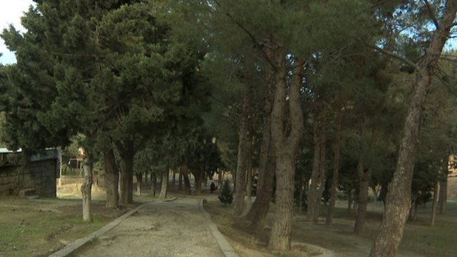 Məşhur "Pitomnik bağı" ləğv edilir? - Rəsmi açıqlama