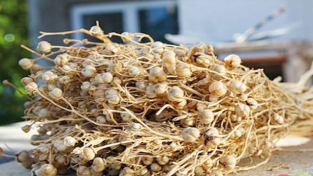 
Nazirlik üzərliklə əhaliyə müraciət etdi