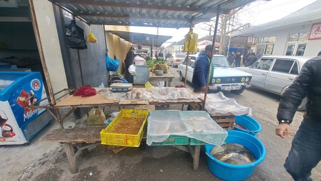 AQTA bazarda nöqsanlar aşkarladı - FOTOLAR
