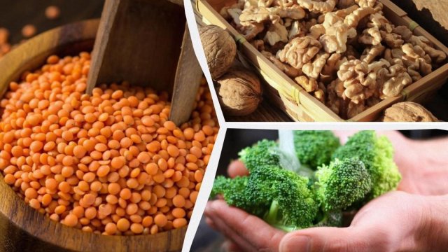 Hansı qidalar çox protein və lif ehtiva edir? - 6 ən yaxşı məhsul