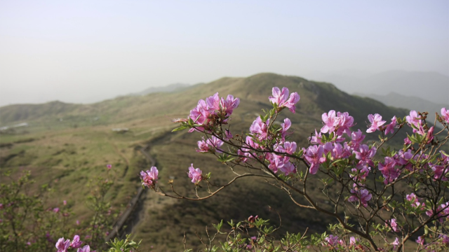 Martda paytaxtda hava necə olacaq?