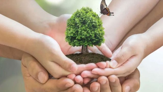 Ekoloq həyəcan təbili çaldı: &ldquo;Hamımızı təhdid edir&rdquo;