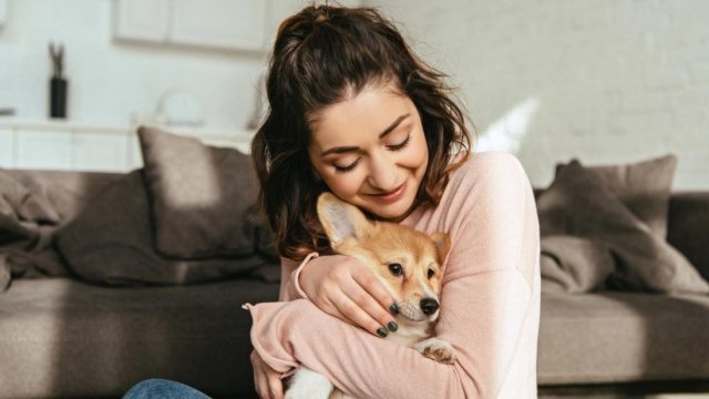 İtlər sahiblərinin xəstəliyini, hamiləliyini və hətta ölümünü hiss edə bilər