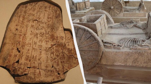 3000 yaşlı fal sümükləri Çində qədim fəlakətin sirrini açdı
