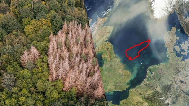 Alimlər Şimal dənizinin dibində "itmiş dünya" tapdı