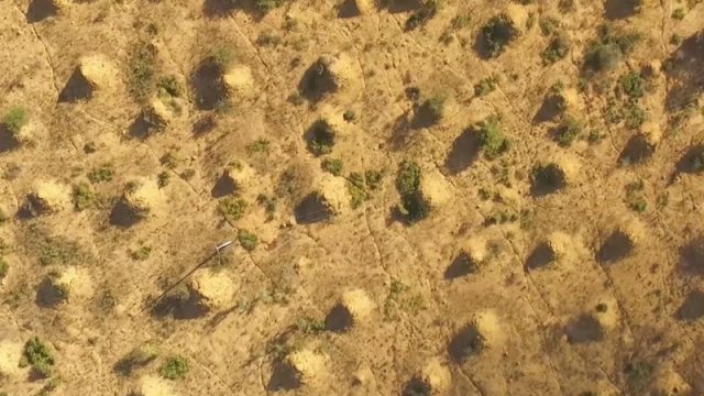 Britaniya böyüklüyündə, kosmosdan görünən nəhəng "şəhər": Onu kim yaradıb?