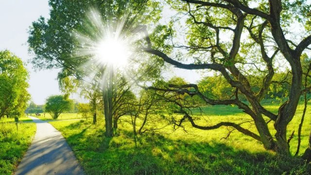 Aprel ayına olan hava proqnozu açıqlandı
