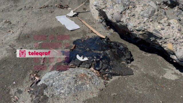 Xəzər sahilində qara təhlükə: Lənkəranda sahilə mazut parçaları çıxır - FOTO