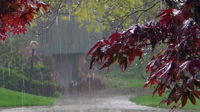 Hava ilə bağlı xəbərdarlıq: İntensiv yağışlar yağacaq