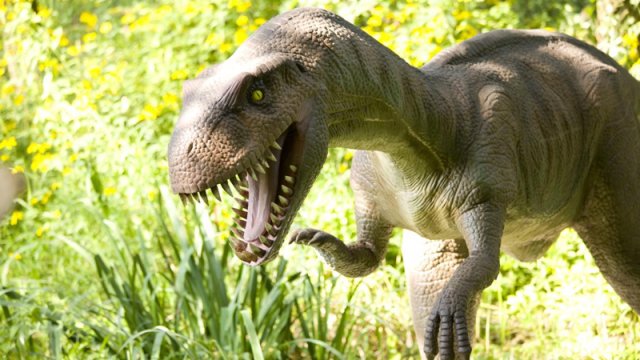 Dəniz səviyyəsindən 500 metr dərinlikdə unikal tapıntı