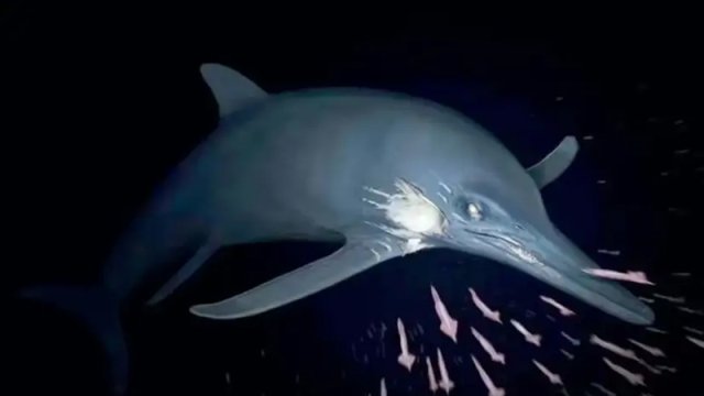 180 milyon illik dəniz canavarı - 100-dən çox dişi var