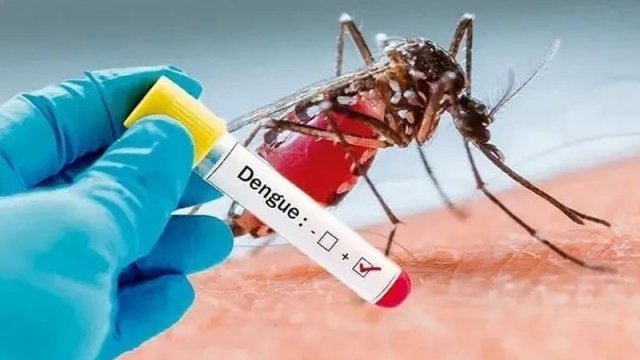Denge virusu ölkəmizdə də yayıla bilər?