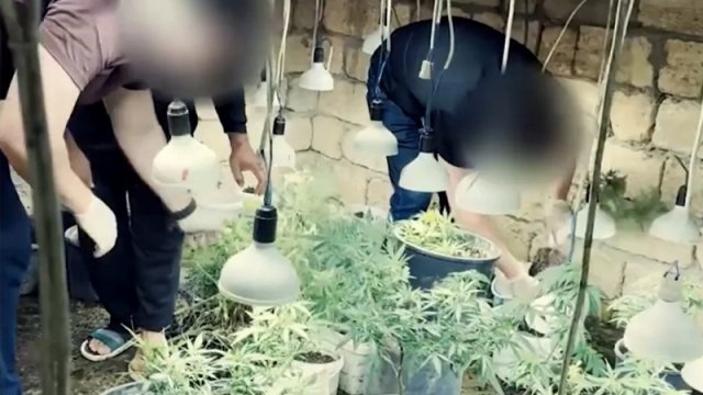 Novxanıda narkobunker aşkarlandı - VİDEO